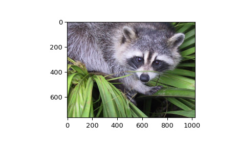 scipy-datasets-face-1.png