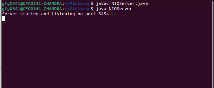 NIO Echo Server console output